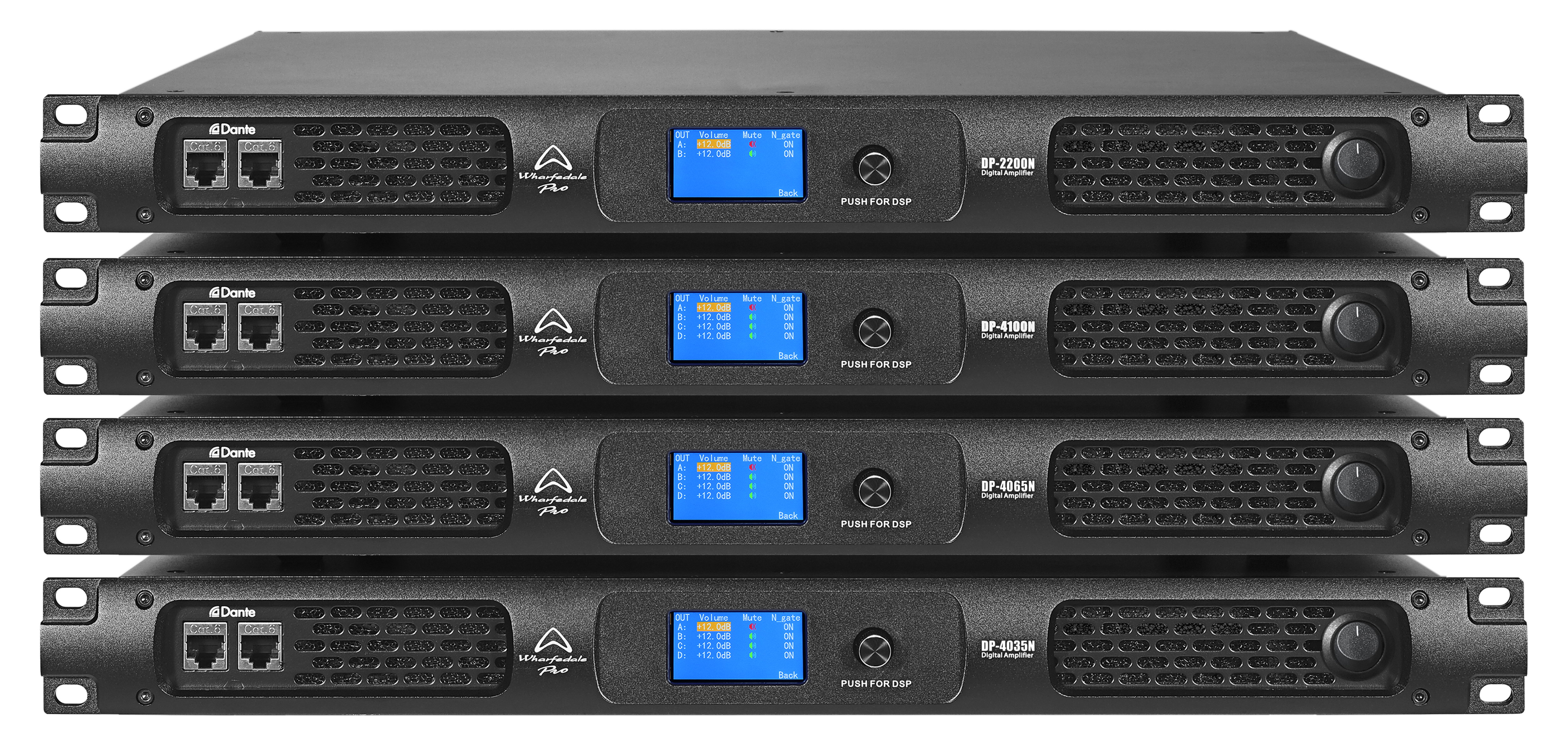 DP-N group_.png (10.96 MB)